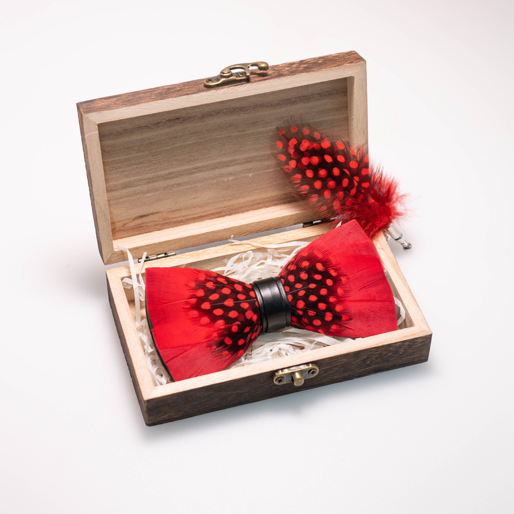 EASTEPIC Spilla con papillon i - Men Accessories Gift Box recensione e prezzo